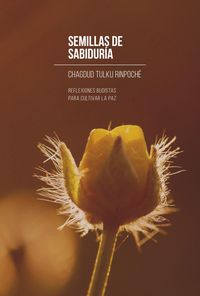 Produktbild: Semillas de sabidur&iacute;a