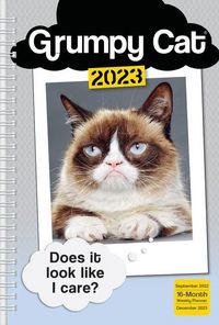 Produktbild: Grumpy Cat Limitied: Grumpy Cat