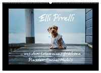 Produktbild: Elli Pirelli... aus dem Leben eines fr&ouml;hlichen Pinscher-Dackel-M&auml;dels (Wandkalender 2027 DIN A2 quer), CALVENDO Monatskalender