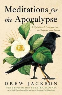 Produktbild: Meditations for the Apocalypse