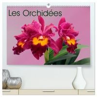 Produktbild: Les Orchid&eacute;es (Calendrier mural 2026 DIN A2 vertical) calendrier de bureau