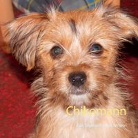 Produktbild: Chikomann