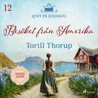 Produktbild: Bes&ouml;ket fr&aring;n Amerika