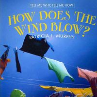 Produktbild: How Does the Wind Blow?