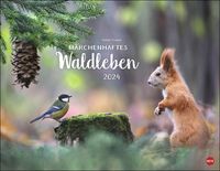 Bild vom Artikel Vadim Trunov: Märchenhaftes Waldleben Posterkalender 2024 vom Autor Vadim Trunov