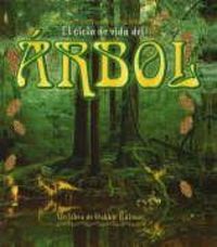 Produktbild: El Ciclo de Vida del &Aacute;rbol (the Life Cycle of a Tree)