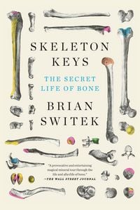Produktbild: Skeleton Keys