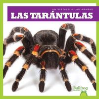 Produktbild: Las Tar&aacute;ntulas (Tarantulas)