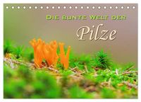 Produktbild: Die bunte Welt der Pilze (Tischkalender 2026 DIN A5 quer), CALVENDO Monatskalender