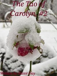 Produktbild: The Tao of Carolyn