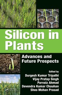 Produktbild: Silicon in Plants