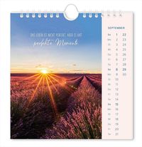 Postkartenkalender 2024 Lichtblicke
