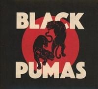 Produktbild: Black Pumas