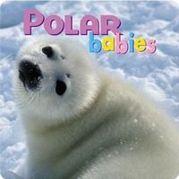 Produktbild: Polar Babies