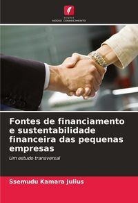 Produktbild: Fontes de financiamento e sustentabilidade financeira das pequenas empresas