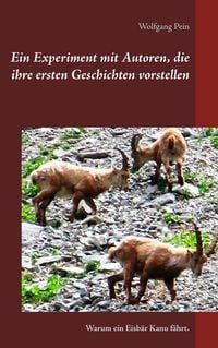 Produktbild: Ein Experiment mit Autoren, die ihre ersten Geschichten vorstellen