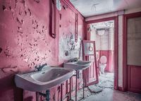 Bild vom Artikel Ravensburger 17359 - Pink Dreams, Lost Places Puzzle, 1000 Teile vom Autor 