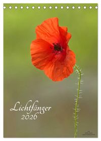 Produktbild: Lichtf&auml;nger (Tischkalender 2026 DIN A5 hoch), CALVENDO Monatskalender