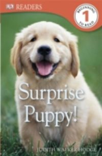 Produktbild: Hodge, J: Surprise Puppy!