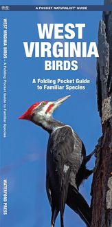 Produktbild: West Virginia Birds