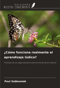 Produktbild: &iquest;C&oacute;mo funciona realmente el aprendizaje l&uacute;dico?