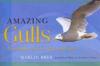 Produktbild: Amazing Gulls