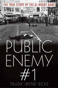 Produktbild: Public Enemy Number One