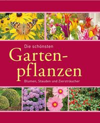 Bild vom Artikel Die schönsten Gartenpflanzen vom Autor Joachim Mayer