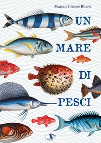 Produktbild: Un mare di pesci