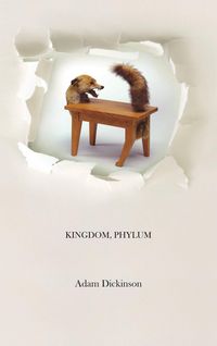 Produktbild: Kingdom, Phylum