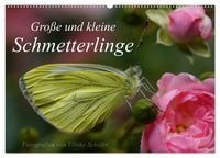 Produktbild: Gro&szlig;e und kleine Schmetterlinge (Wandkalender 2027 DIN A2 quer), CALVENDO Monatskalender