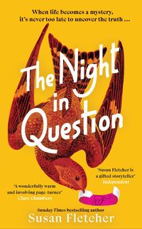 Bild vom Artikel The Night in Question vom Autor Susan Fletcher