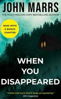 Produktbild: When You Disappeared