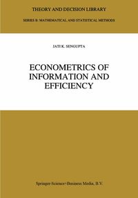 Produktbild: Econometrics of Information and Efficiency