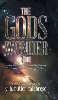 Produktbild: The Gods Wonder Too