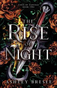 Produktbild: The Rise of Night
