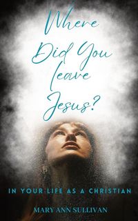 Produktbild: Where Did You Leave Jesus?