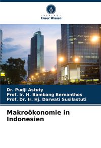 Produktbild: Makro&ouml;konomie in Indonesien