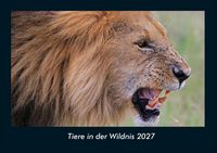 Produktbild: Tiere in der Wildnis 2027 Fotokalender DIN A4