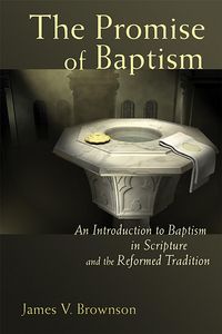 Produktbild: The Promise of Baptism
