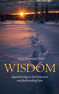 Produktbild: Wisdom
