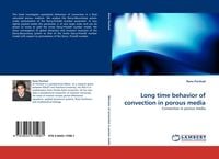 Produktbild: Long time behavior of convection in porous media