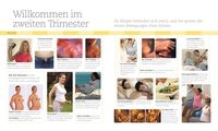 Alles über meine Schwangerschaft Tag für Tag