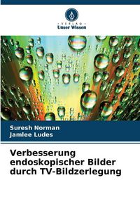 Produktbild: Verbesserung endoskopischer Bilder durch TV-Bildzerlegung