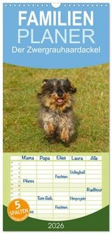 Produktbild: Familienplaner 2026 - Der Zwergrauhaardackel - Eigensinnig und Liebenswert mit 5 Spalten (Wandkalender, 21 x 45 cm) CALVENDO