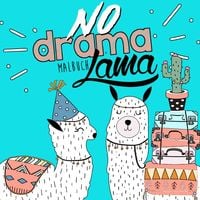 Produktbild: No Drama Lama Malbuch
