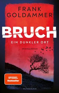 Produktbild: Bruch: Ein dunkler Ort