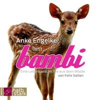 Bild vom Artikel Bambi vom Autor Felix Salten