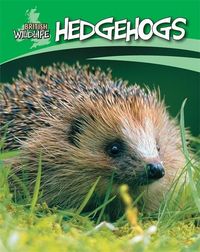 Produktbild: British Wildlife: Hedgehogs