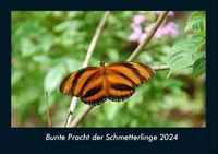 Bild vom Artikel Bunte Pracht der Schmetterlinge 2024 Fotokalender DIN A4 vom Autor Tobias Becker